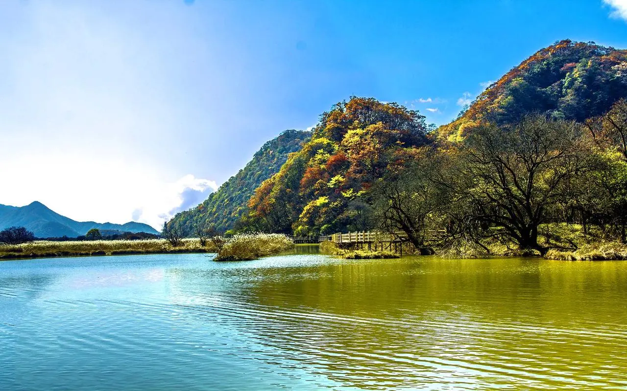 高性能智能